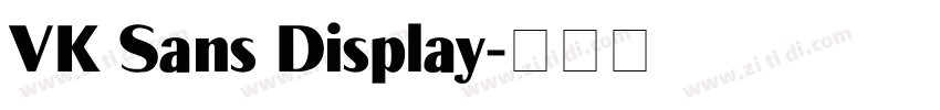 VK Sans Display字体转换
